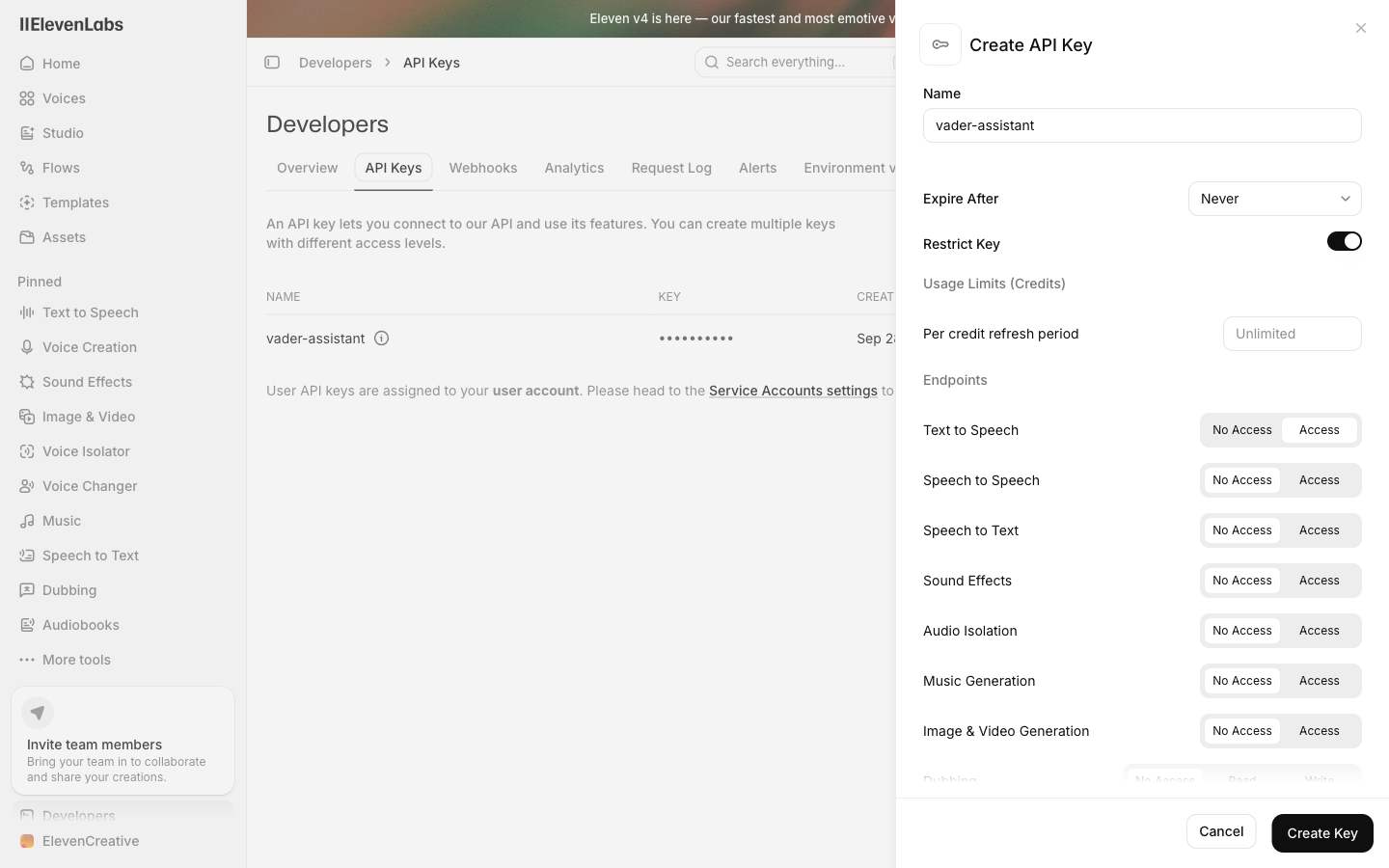 The Create API Key panel with the key restricted and Text to Speech set to Access.